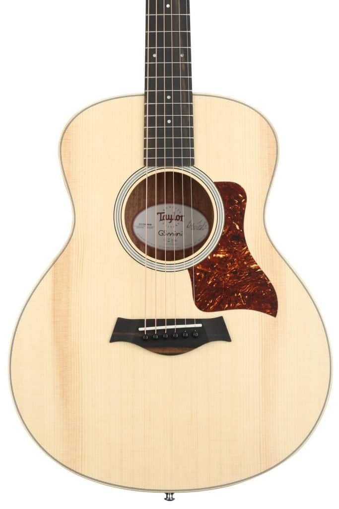 Taylor GS Mini-e