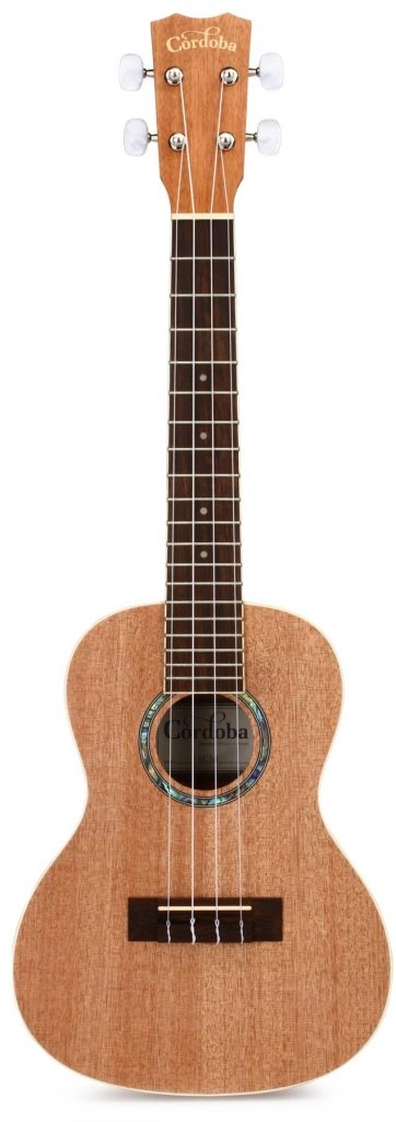 The Cordoba 15CM Concert Ukulele. In my opinion, the very best ukulele for beginners.