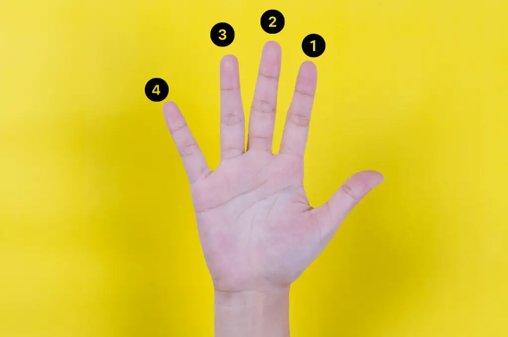 Left-hand finger-numberings