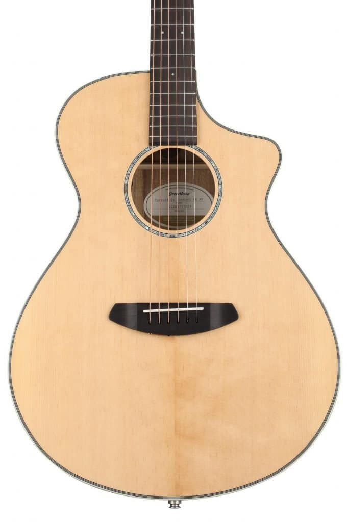 Breedlove Fingerstyle guitar