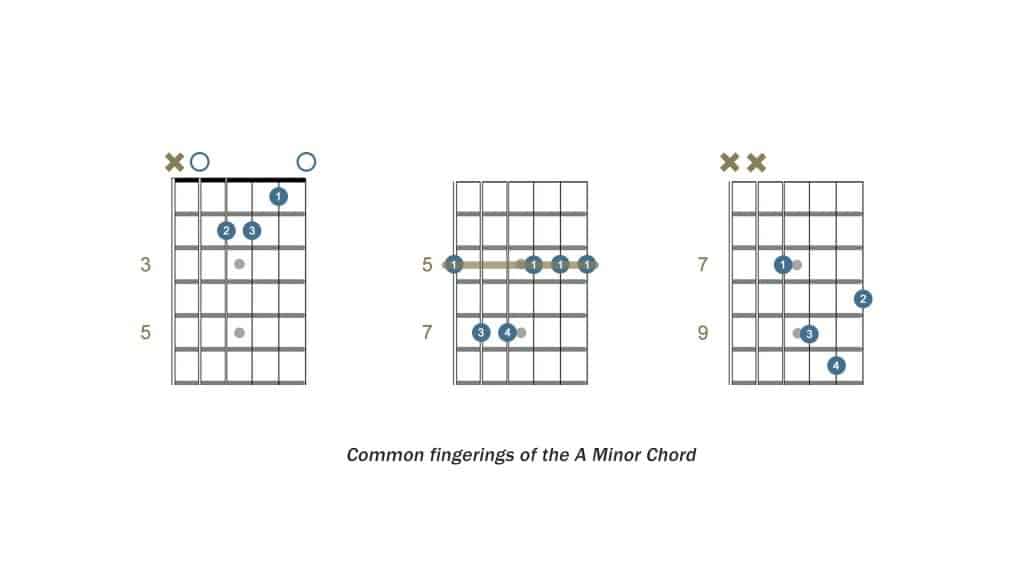Common fingerings of Am chordshape